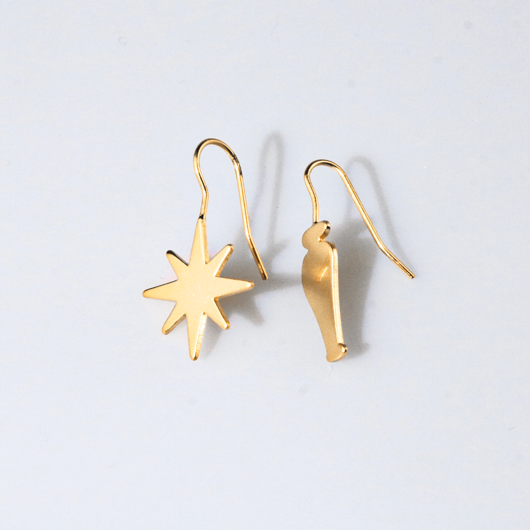 Star and Vase Earrings