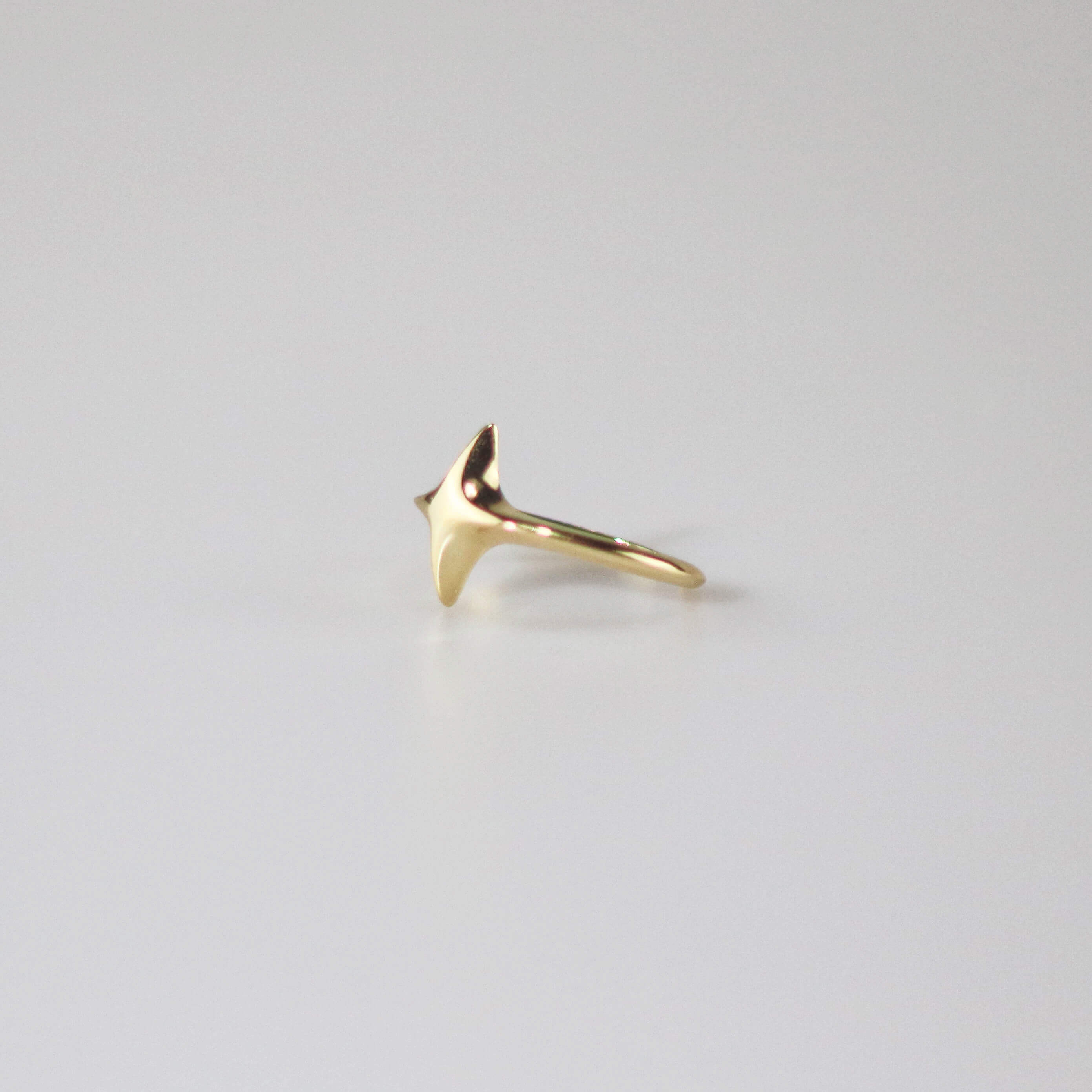 gold star ring
