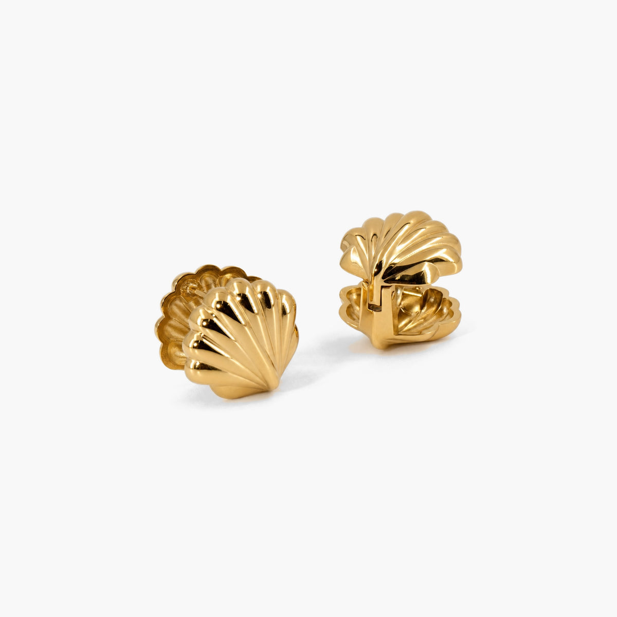 Scallop Shell Hoop Earrings