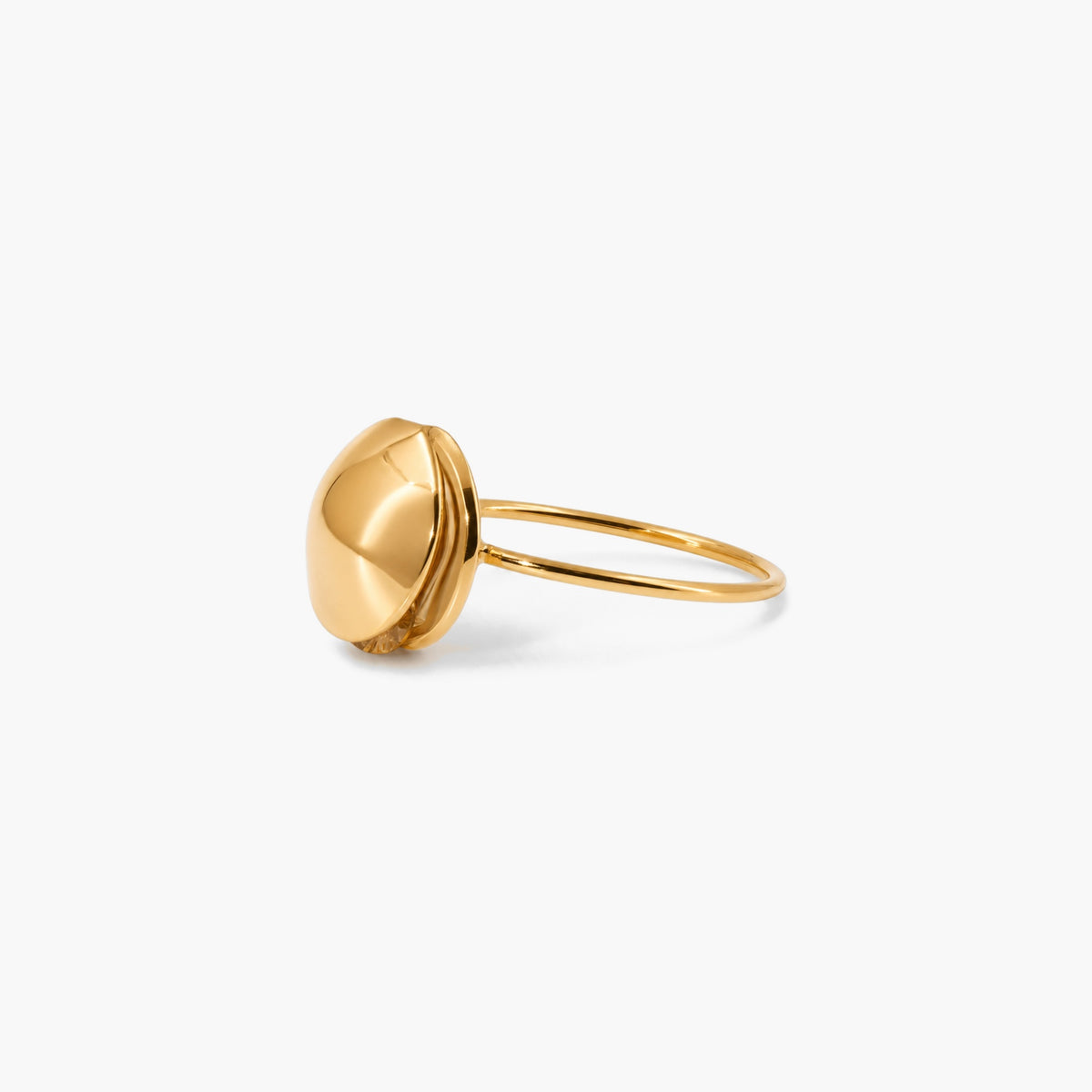 Hidden Gem Ring
