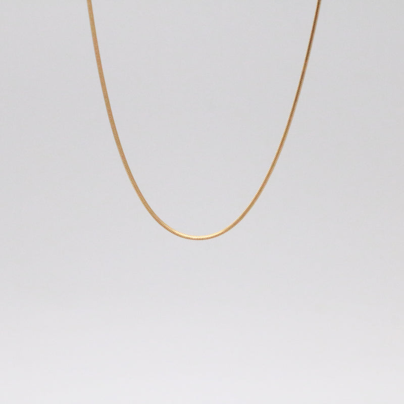 Shimmer thin gold chain necklace